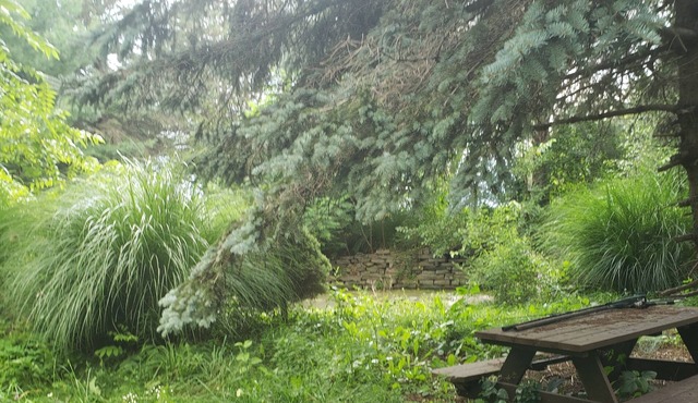 Rustic cabin nearby Windham,Hunter and Catamount ski resorts.