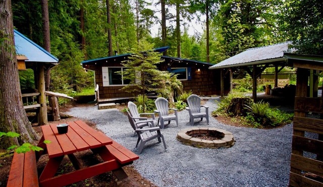 Rustic cabin, nestled in the trees, less than a mile to Mt. Rainier entrance.