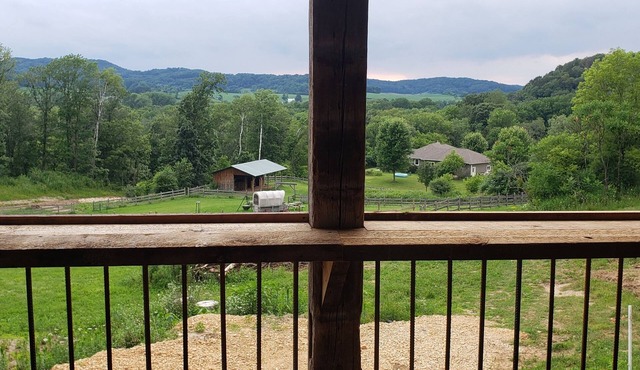 Rustic Cabin on 7 Acres