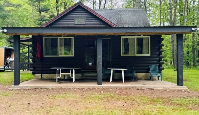 Rustic Cabin on beautiful Little Pine Creek