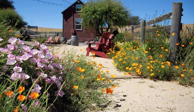 Rustic Cabin on Organic Cattle Ranch