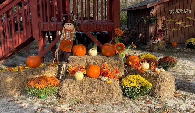 Rustic Cabin on the River