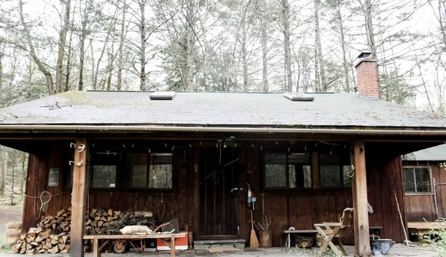 Rustic Cabin Retreat on the Ten Mile River in Narrowsburg, New York