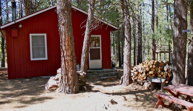 Rustic Cabin-"Squirrelville"