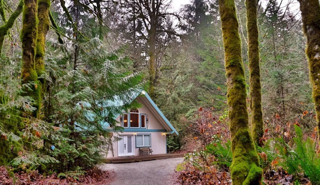 Rustic Cabin Stevens Pass Mount.-Adventures-HotTub