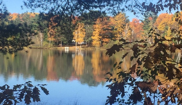 Rustic cabin, two acres of privacy, on quiet McCarry Lake