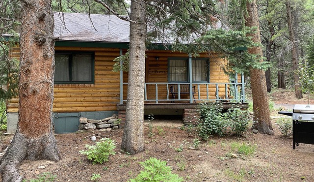 Rustic cabin