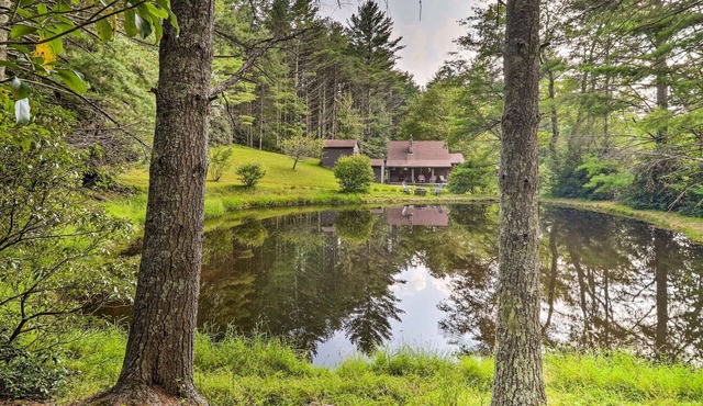 Rustic Cabin w/Patio & Pond on Blue Ridge Parkway