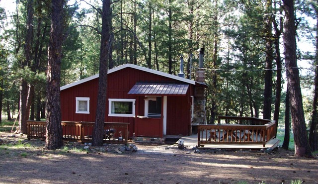 Rustic Cabin- "Whitetail"