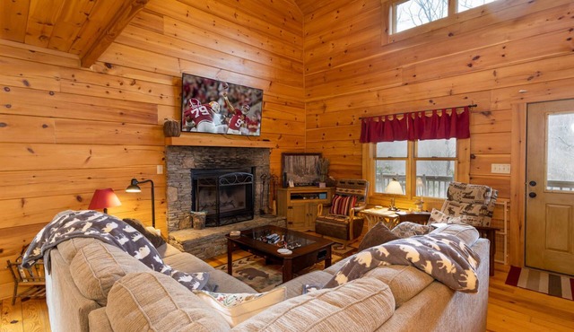 Rustic Cabin With Mountain Views