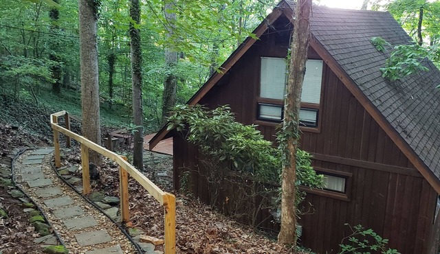 Rustic Cedar Cabin On Lake Lanier with Private Dock