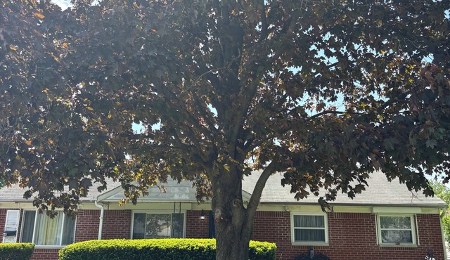Rustic Charm 3-bedroom 2-bath house in beautiful Greenwood with AC & HOT SPA