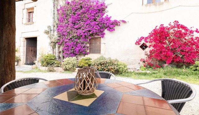 Rustic Charm in Riudarenes