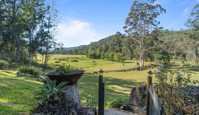 Rustic Charm Meets Natural Beauty