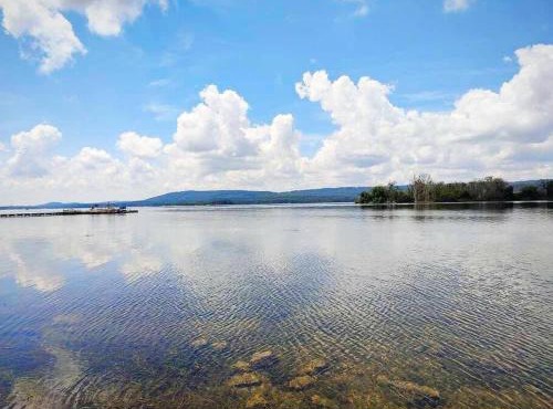 Rustic Chic Alabama Cabin w Loft Fire Pit Pet Friendly Fenced Yard Lake Guntersville - Lucky Lodge