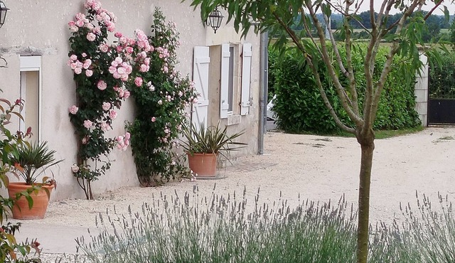 Rustic Cottage in Berry with Terrace and Horse Friendly