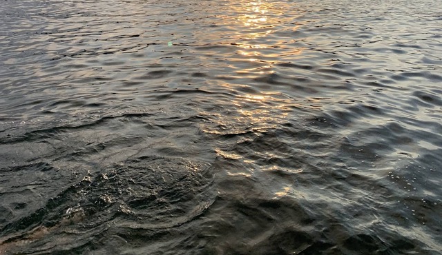 Rustic Cottage W/kayaking, Lake and Boating