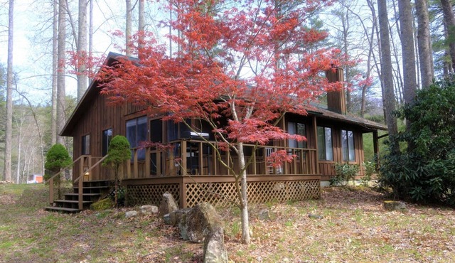Rustic country cabin on mountain top - king bed, hot tub