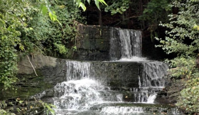 Rustic, Cozy Cottage with Backyard Waterfall and Cayuga Lake Views!