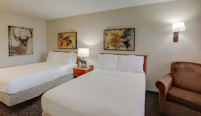 Rustic Elegance by the Mississippi River! Rustic Amenities & 2 Pools