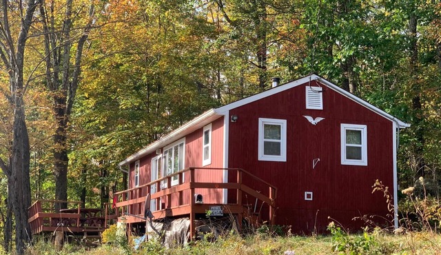 Rustic Family Cabin (PET FRIENDLY, WiFi, FULLY FUNCTIONAL HOME)