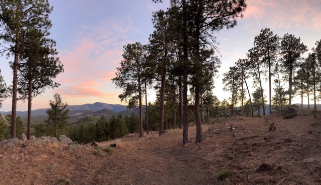 Rustic Family Mountain Top Cabin! 360 degree “million dollar” Black Hills views!