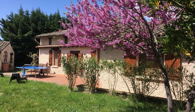 Rustic farmhouse on large wooded park with swimming pool