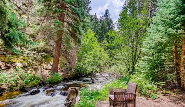 RUSTIC FUNK WATERFRONT Pet Friendly CABIN