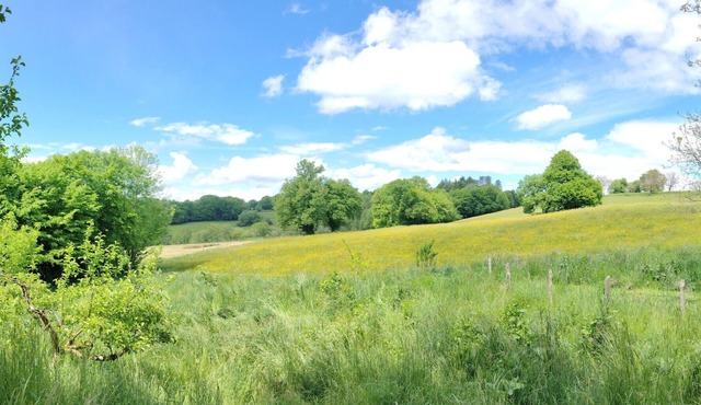 Rustic gite "La Plume et l'oiseau" (The feather and the bird)