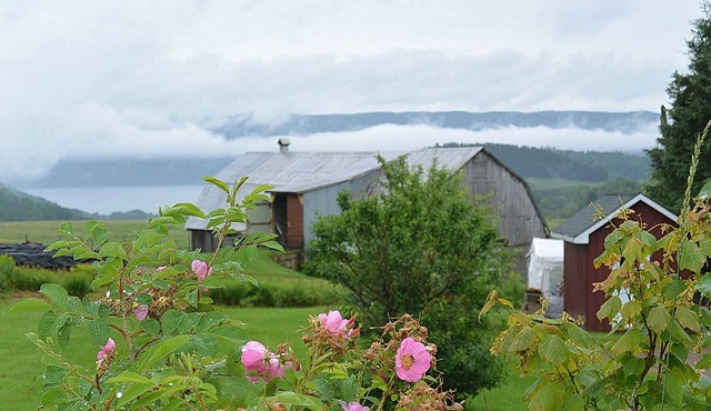 Rustic House Fjord