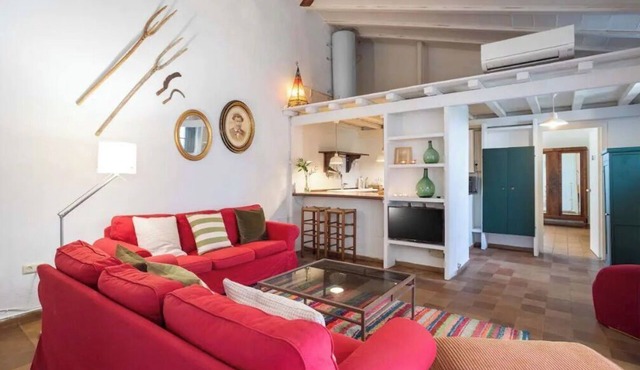 Rustic house with charm and private garden. Swimming pool
