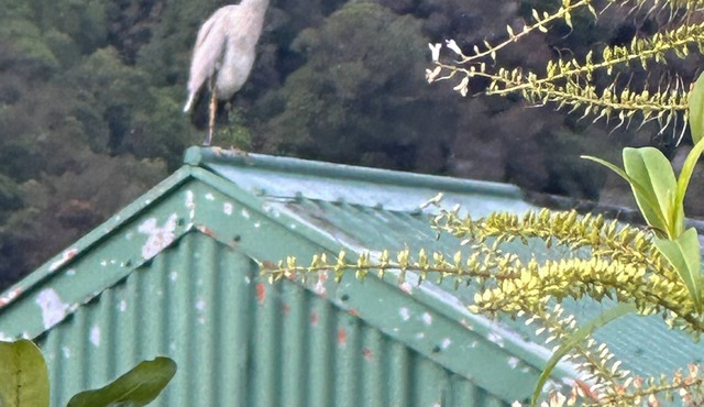 Rustic Hut in the Middle of Alps & National Park. Super Cosy Close Walks