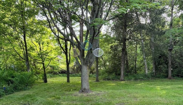 Rustic Ipperwash Guesthouse