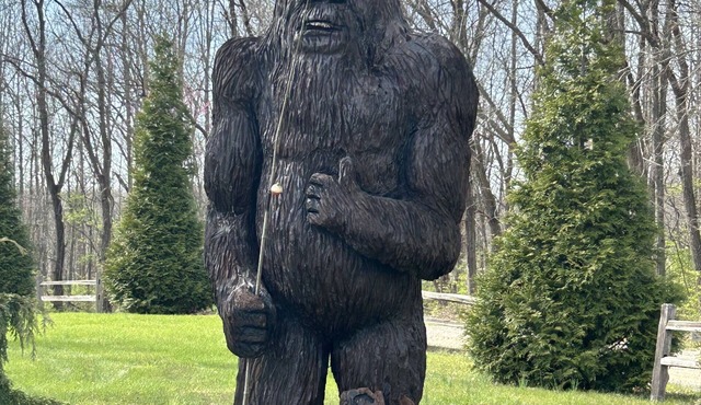 Rustic Lakefront Cabin Private Property