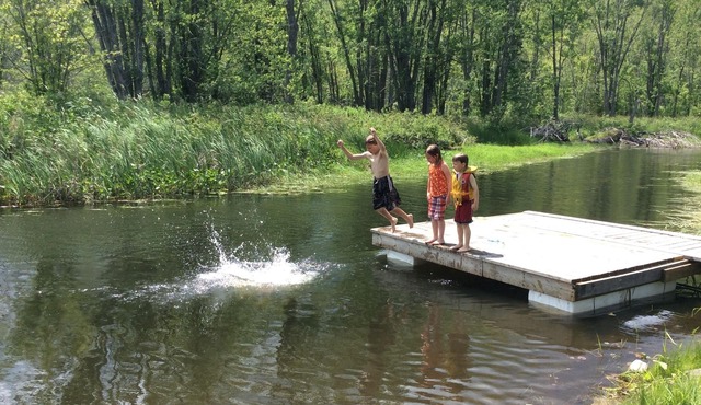 Rustic Lakeside Log Cabins