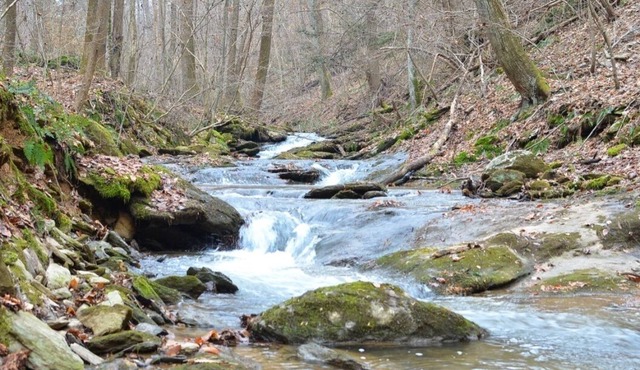 Rustic lodge on 128 acres of natural park and conservation area