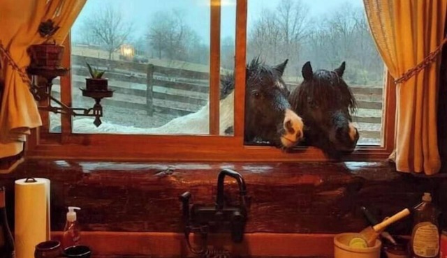 Rustic Luxury w/Horses-Historic Whiskey Distillery