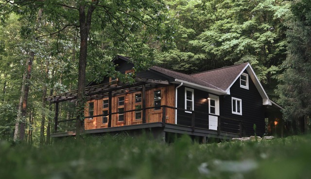 Rustic-Modern Woodland Cottage with Swim Spa