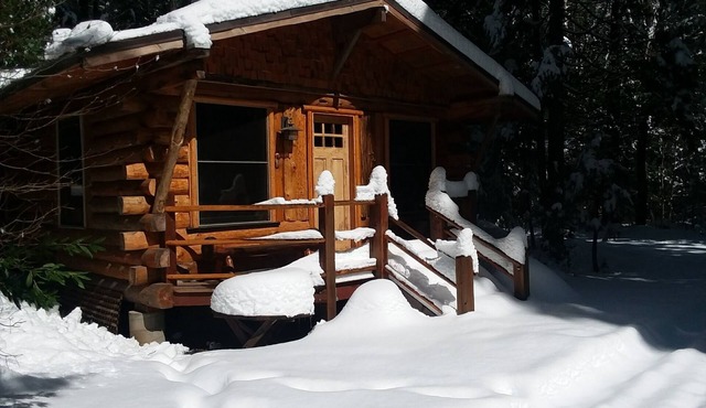 Rustic mountain retreat - escape to a hand-built cabin in the woods