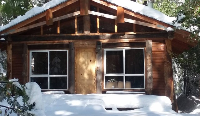 Rustic mountain retreat - escape to a hand-built cabin in the woods