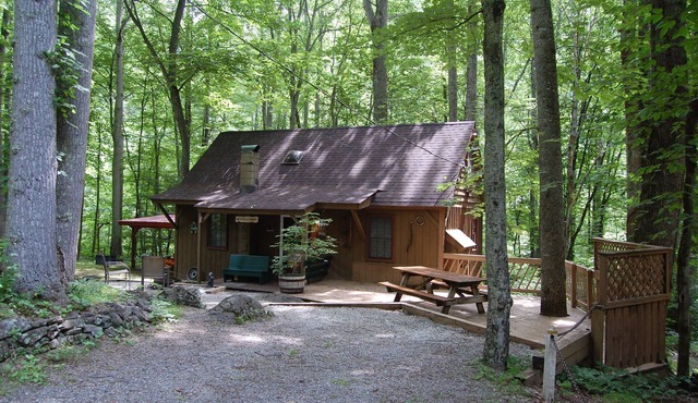 Rustic Mountain Retreat-Bear Paw