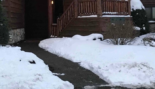 Rustic Mountainside Townhouse