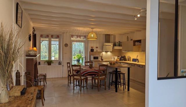 Rustic old mill with garden, WIFI and parking, pets allowed