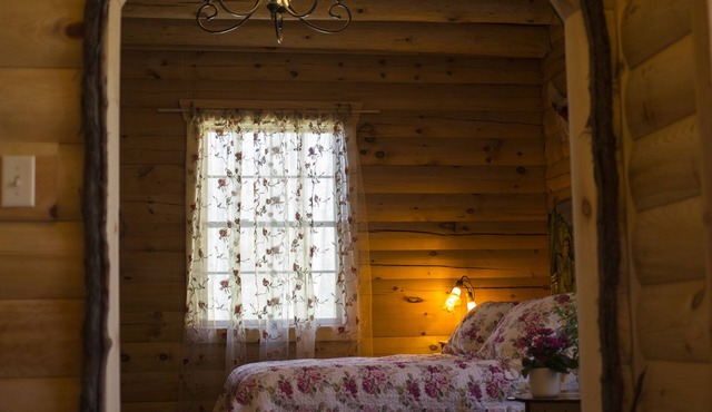 Rustic Polish Jacuzzi Room in log home 11 miles from Ithaca