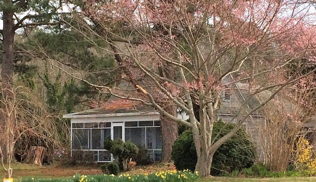 Rustic Quaint Cottage With Spectacular Views