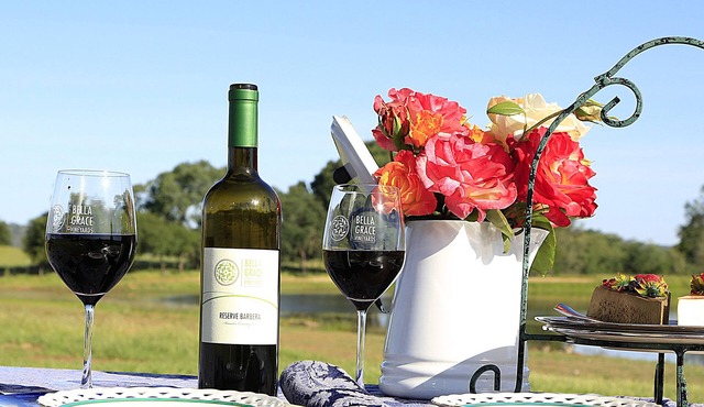 Rustic Ranch in the heart of Wine Country