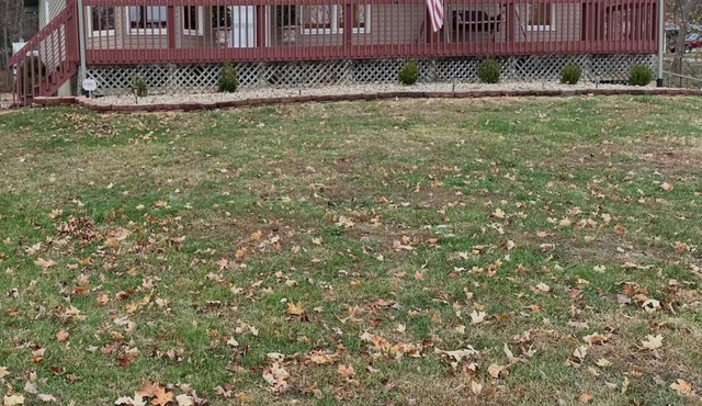 RUSTIC RETREAT Cozy 2 Bed 1.5 Bath Home, in Rural Farmington, Wooded Outdoor.