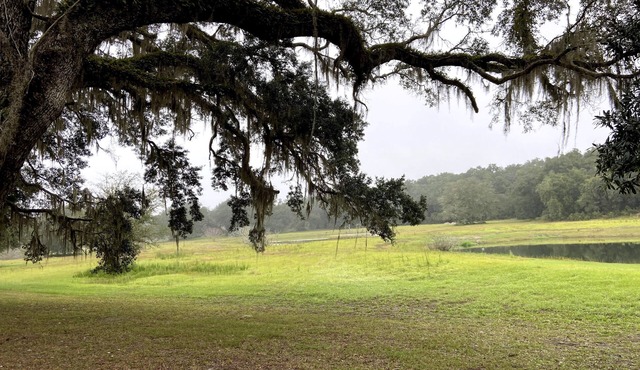 Rustic Retreat: Ranch Home with 40 Private Acres and Covered Patios n