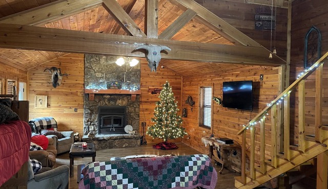 Rustic River cabin- located near the Illinois river!