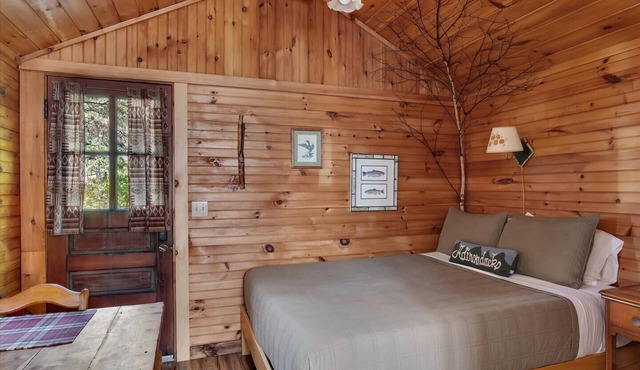 Rustic Skylight Adirondack Cabin